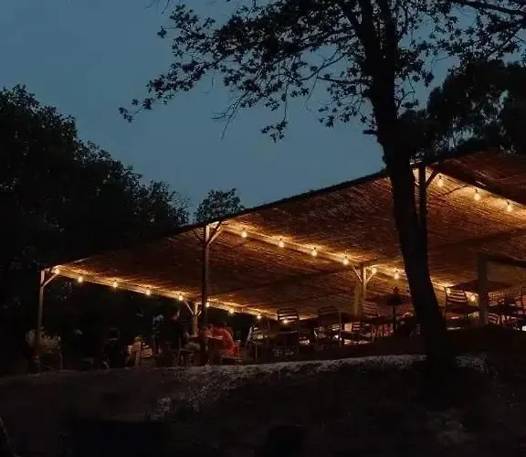 3 Etoiles - Ccbfddi 3* Vinca